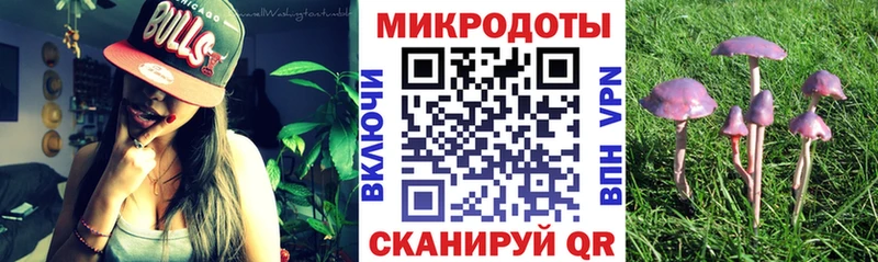 хочу наркоту Кашира Псилоцибиновые грибы ЛСД